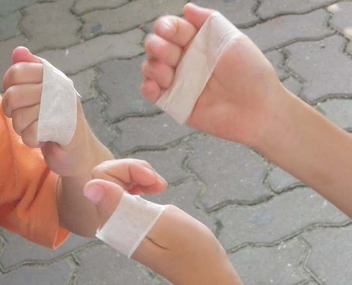 mammals-in-animal-classification-unit-study-lesson-plan-