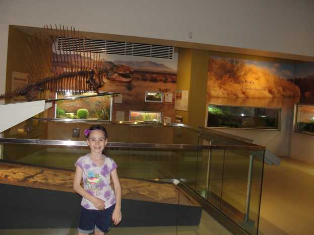 The Nature &amp; Science Center in Las Cruces is free and definitely worth visiting! My kids loved all the the live animals and the real fossilized dinosaur tracks. 