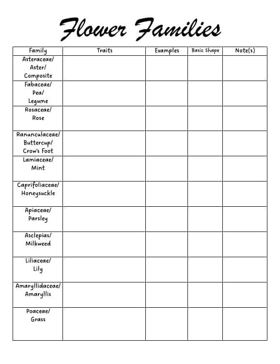they can fill out this chart on flower families.