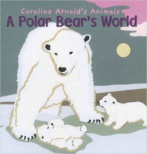 A Polar Bear's World (Caroline Arnold's Animals) by Caroline Arnold - Image is from amazon.com