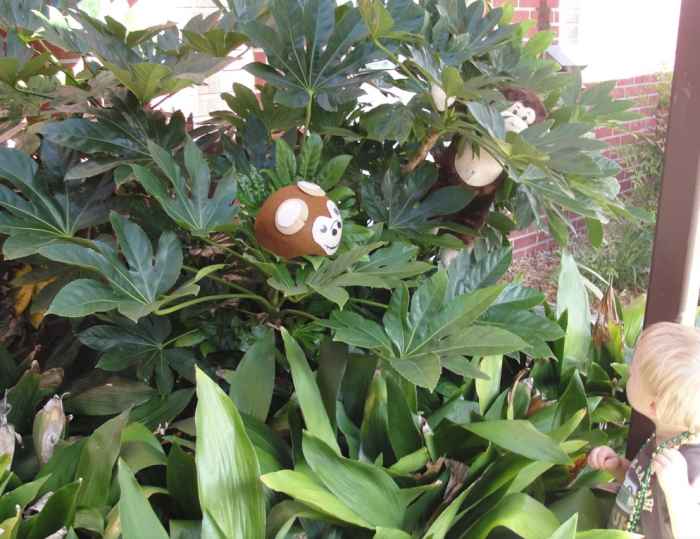 Pretending to journey through "Panama" on the way to the Pacific like Balboa was one of the activities we did this week while learning about European Explorers from the above link: History Morning Basket & Activities.