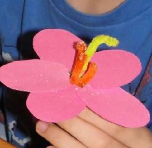 Flower Parts Model