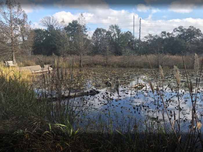 houston-on-a-budget-with-kids