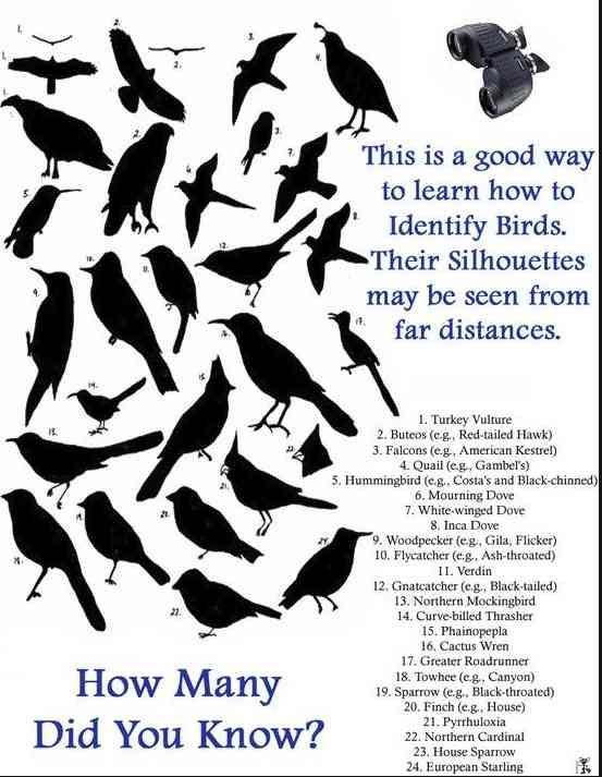 Image credit: https://i.pinimg.com/originals/0d/5a/ac/0d5aace75b6fa8c95a614843daead38d.jpg