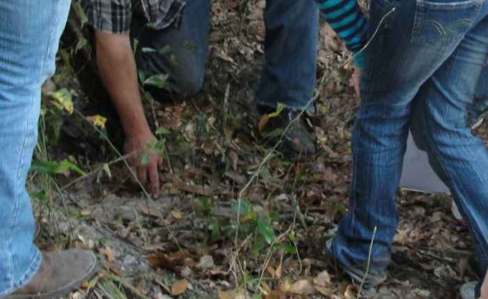 Studying tracks on the nature walk