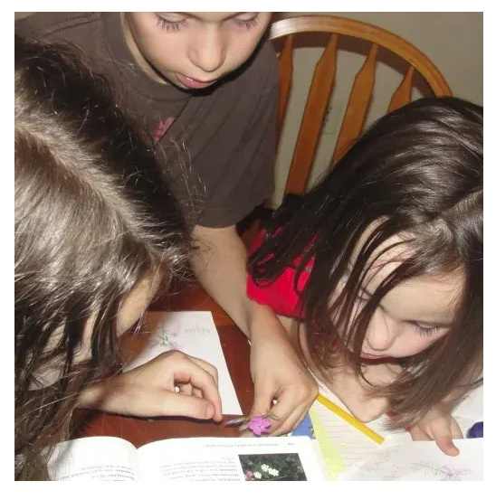 homeschooling-preschool-and-kindergarten