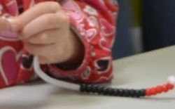 skeletal-and-muscular-systems