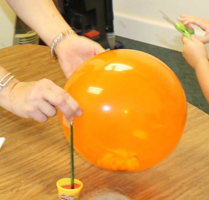 Mushroom Reproduction Demonstration