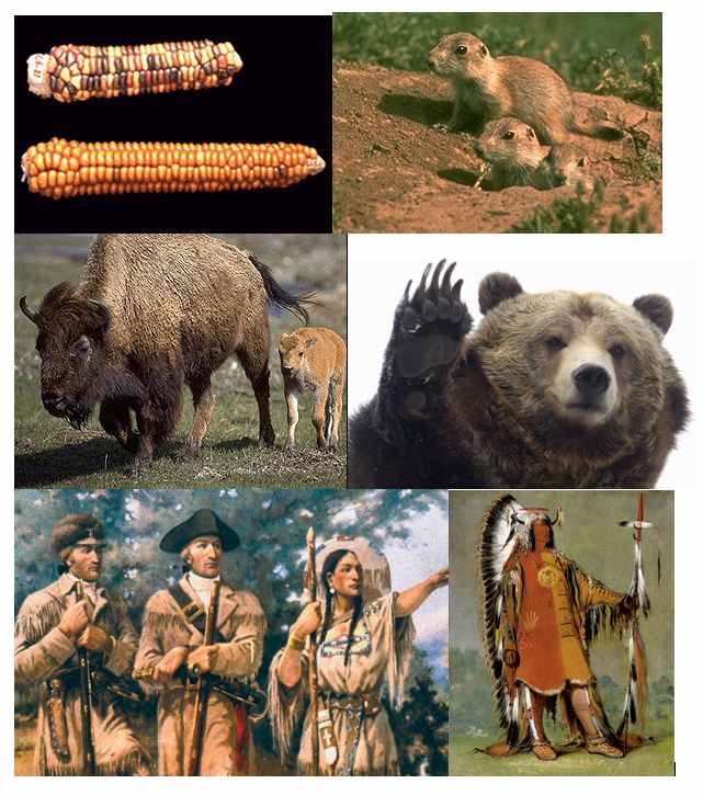 Set 1 of pictures for journal