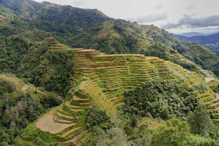 The Banaue Rice Terraces, carved by ancestors of the Ifugao people