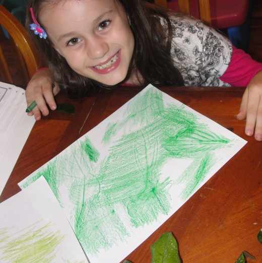 Creating deciduous forest leaf rubbings while studying biomes
