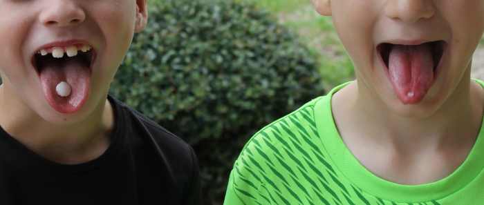 Skittles Erosion Contest