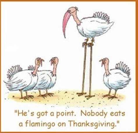 Image credit: http://lumdimsum .com/2012/11/22/on-thanksgiving-thank-goodness-were-not-turkeys/