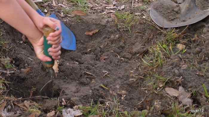 Till an approximately 20x20inch square plot of land.