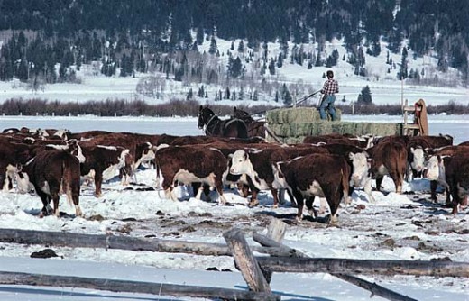 Image credit: http://media.web.britannica.com/