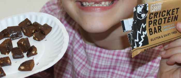 Tasting cricket protein bars