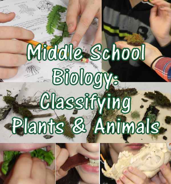 Christian Middle School Biology Lesson: Classifying Plants & Animals