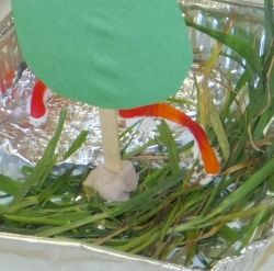 southern-states-lesson