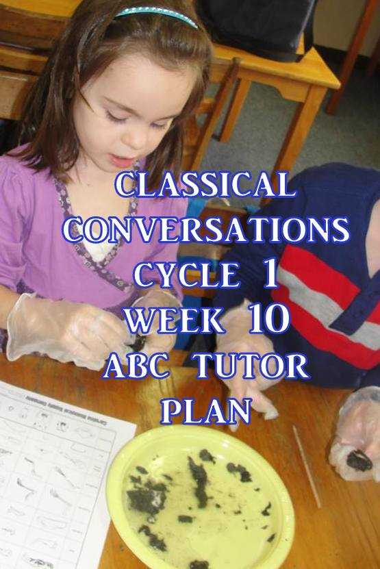 Classical Conversations Cycle 1 Week 10 Abc Tutor Plan - Science Activity: Dissecting an owl pellet