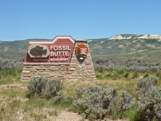 Fossil Butte National Monument image credit: http://travelsofthemercury.blogspot.com/