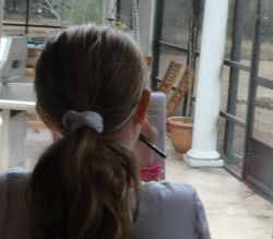 leonardo-da-vinci-the-scientist