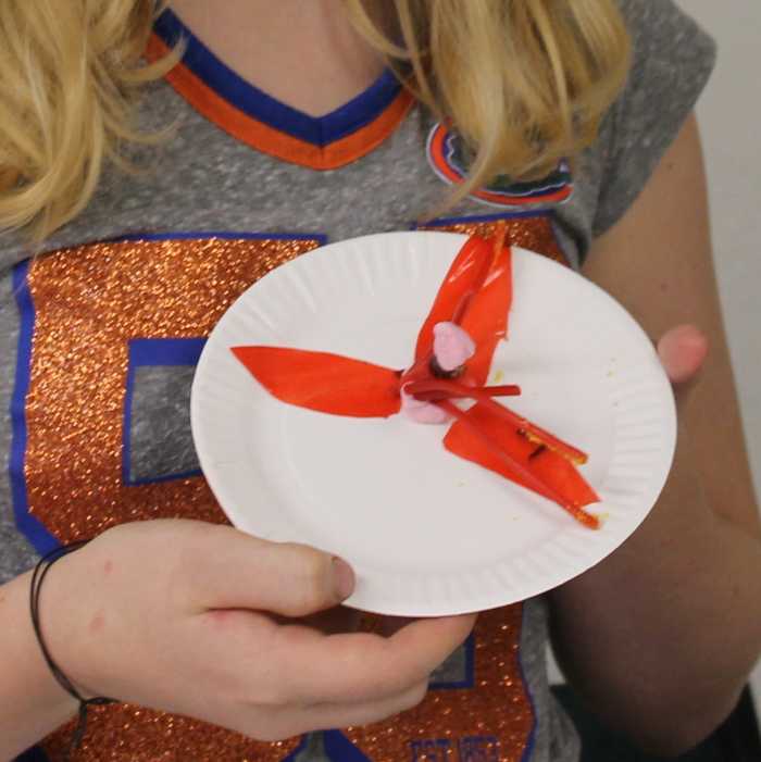 parts-of-a-flower-lesson