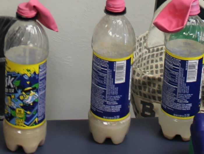 Preparing Bottles, Balloons, and Budding Activity