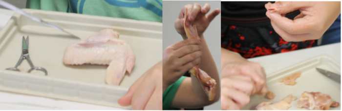 Dissecting Chicken Wings