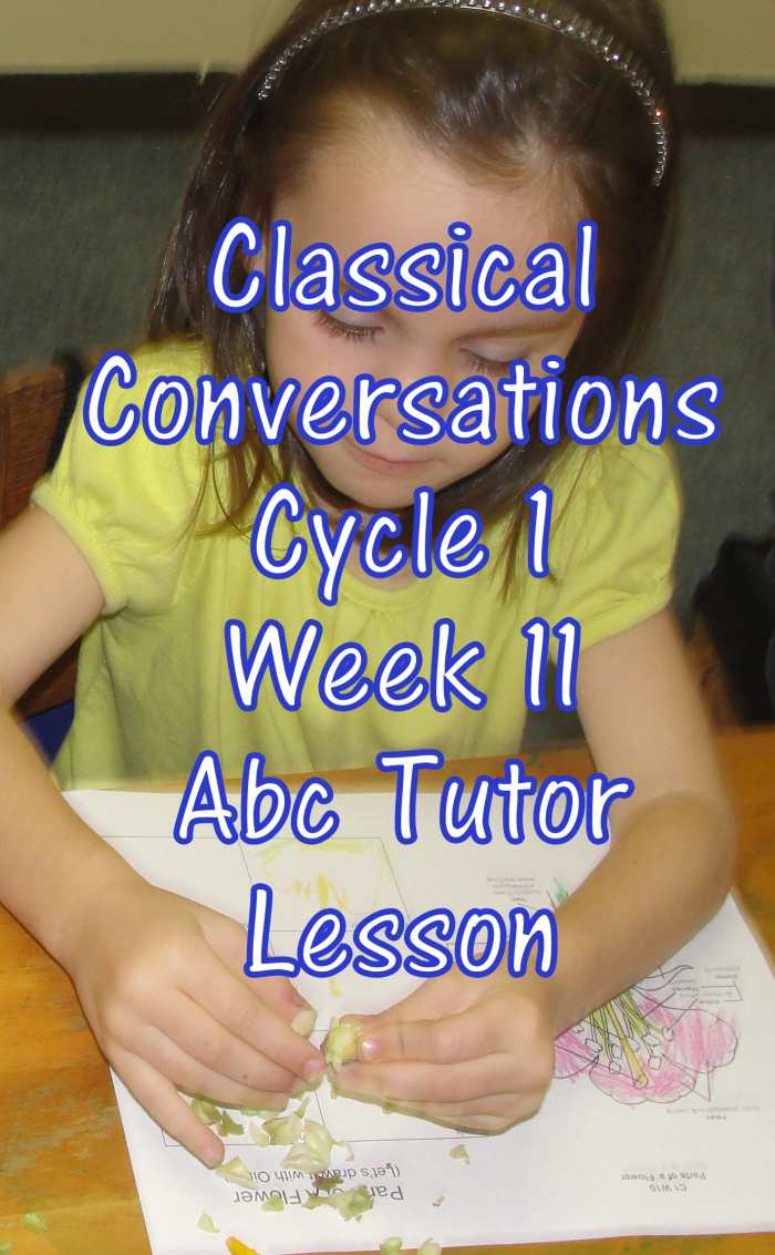 Classical Conversations Cycle 1 Week 11 Abc Tutor Plan - Science Activity: Dissecting a Flower