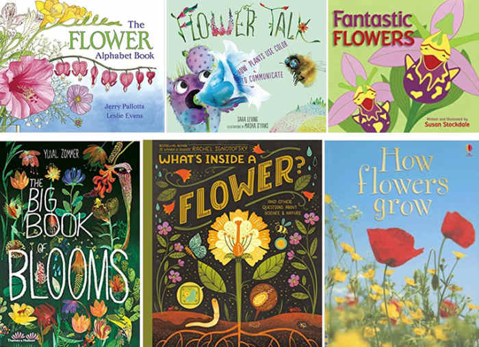 Our Favorite Children's Picture Books on Flowers