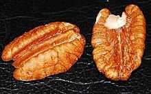 Pecans from Mississippi