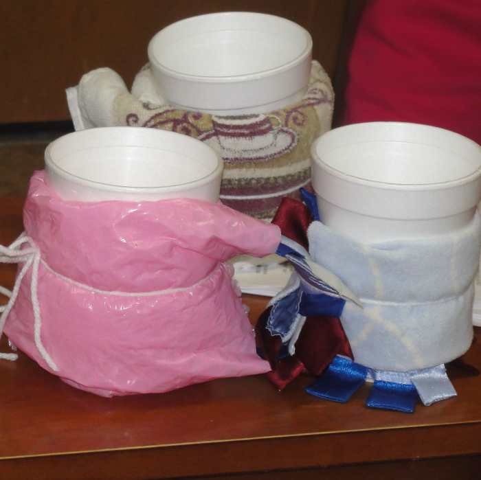 Arctic Animals and Insulation Activity