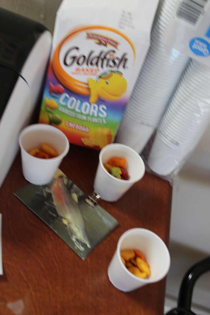 Goldfish cracker "salmon" snack