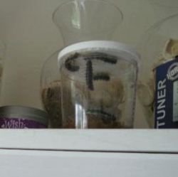 Image credit: http://supertipsonline.com/2012/05/insect-lore-live-butterfly-garden/