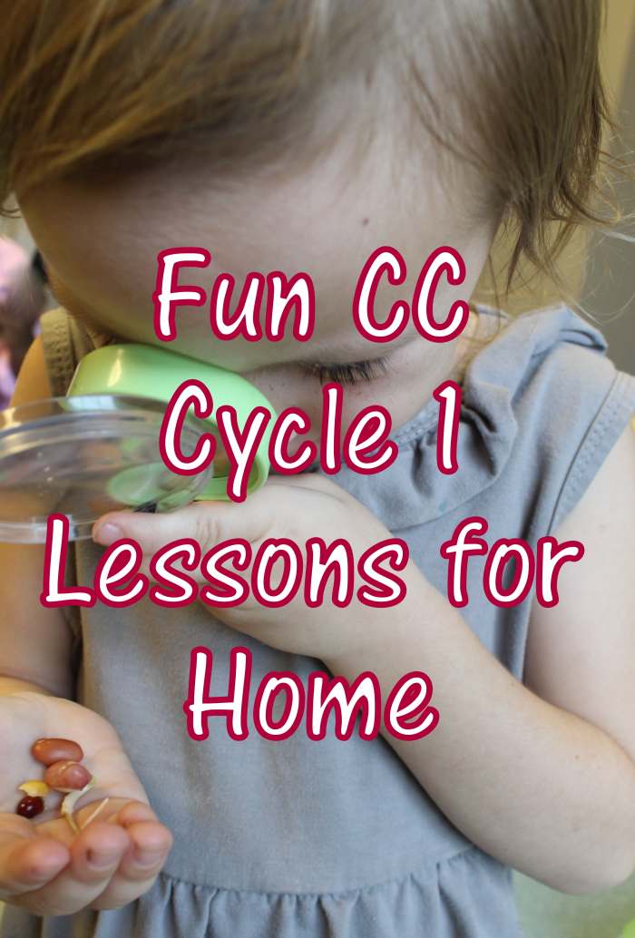 cc-cycle-1-lessons-for-home