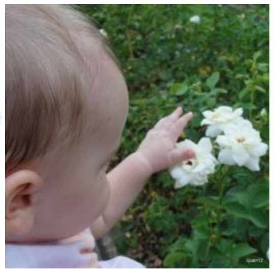 Visiting a local nursery