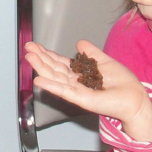 polar-exploration-lesson