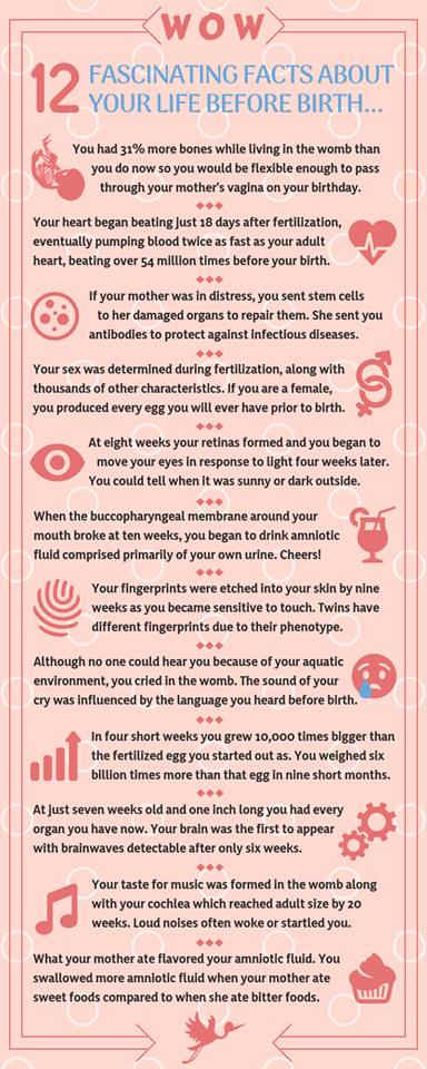 baby-development-lesson