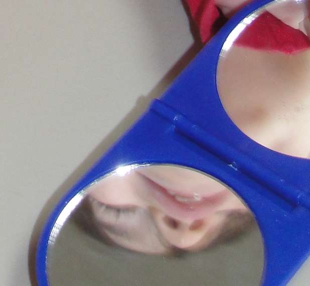 Inspecting our noses