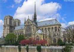 Cathedral of Notre Dame in Paris