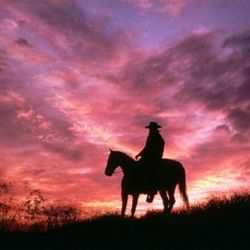 texas-for-teachers-travelers