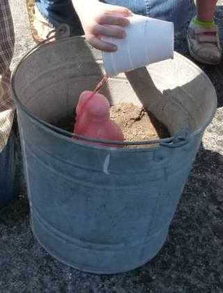 alaska-and-hawaii-lesson