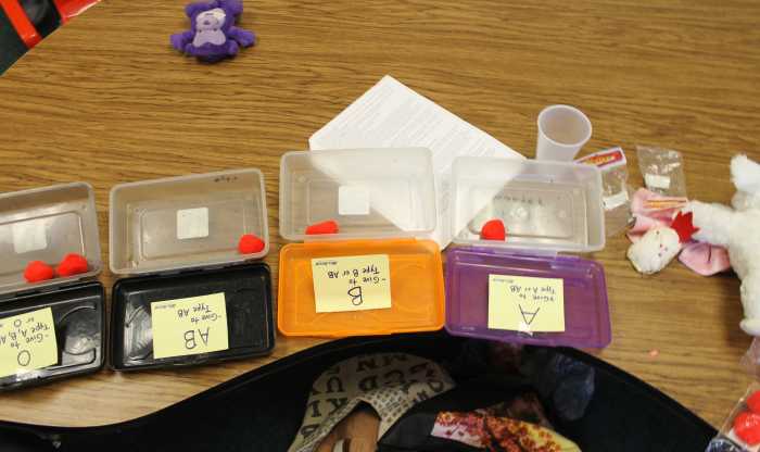 learning-about-the-circulatory-system