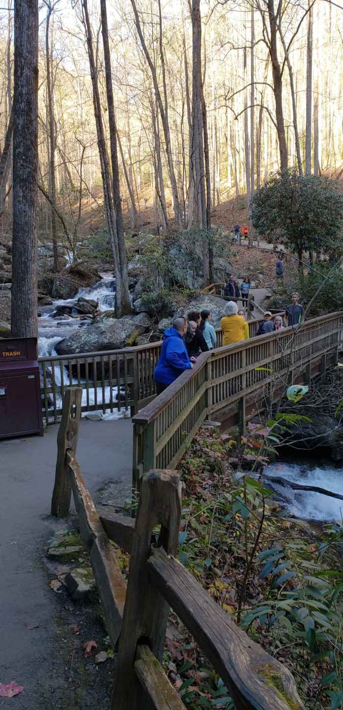 This is the pretty trail leading up to the waterfalls.