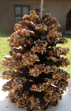 Pine Cone Bird Feeders