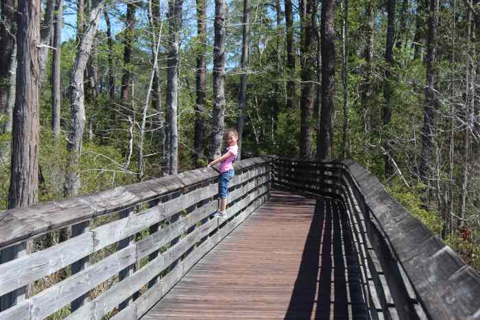 Tarkiln Bayou Preserve has a stroller-friendly boardwalk that's about half a mile long.