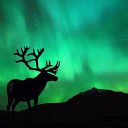 Image credit: http://environment.nationalgeographic.com/environment/photos/arctic-climate-change/