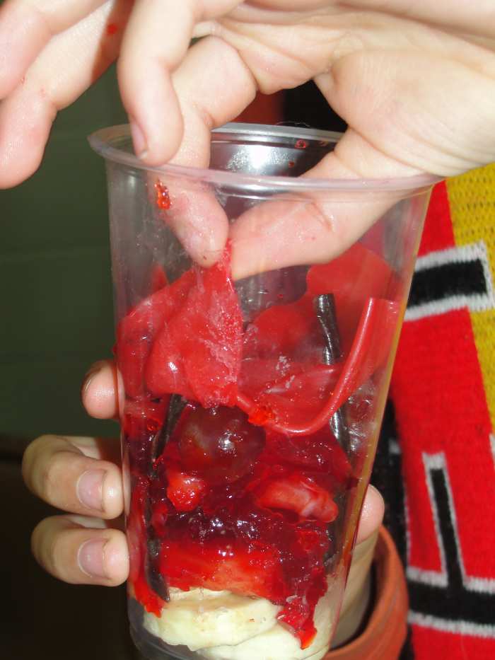 Edible Layers of the Skin Model