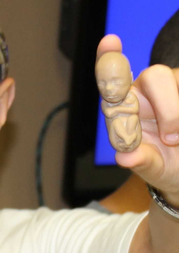 A 12 week old baby model