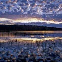 Image credit: http://photography.nationalgeographic.com/photography/photos/best-pod-september-2010/